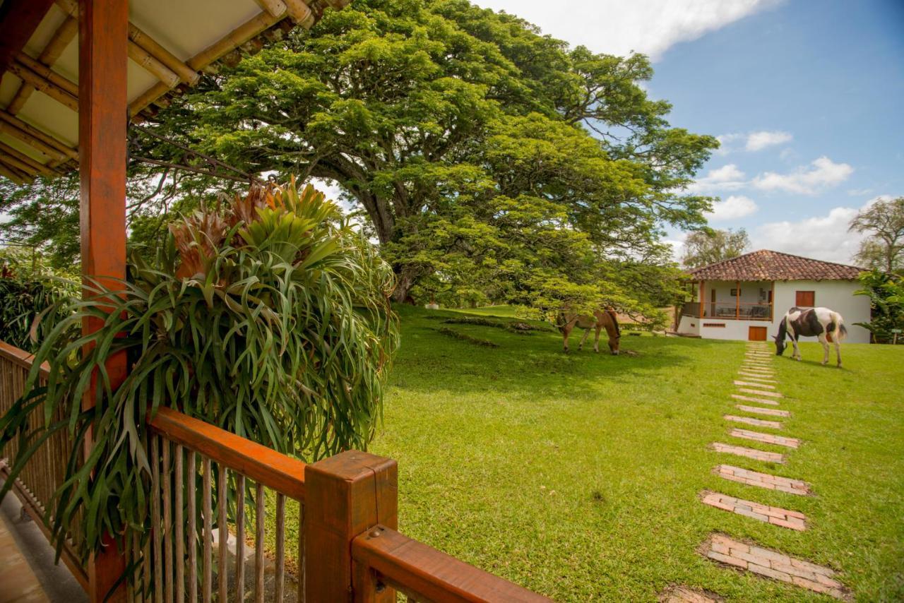 キンバヤ Hacienda El Samanヴィラ エクステリア 写真