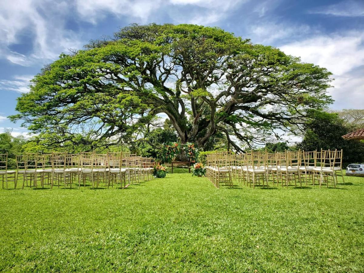 キンバヤ Hacienda El Samanヴィラ エクステリア 写真